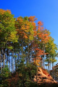 激烈角逐下足球比赛持续扣人心弦
