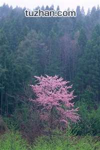 激烈角逐下足球比赛持续扣人心弦