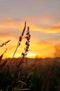 巴塞罗那前锋梅西复出，球队士气高涨