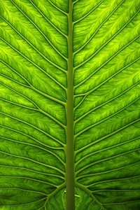 激烈角逐下足球比赛持续扣人心弦